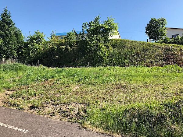 外観：301000086769