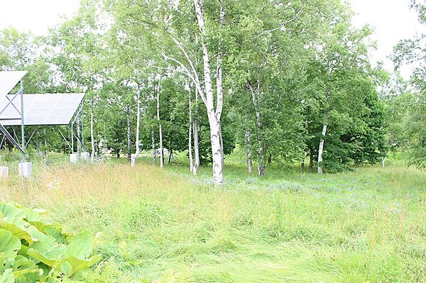 外観：301000086463