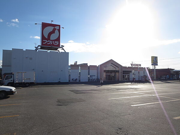 フクハラ タイガー店（634m）