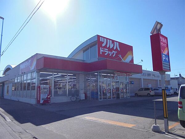 ツルハドラッグ 北見とん田西町店（393m）