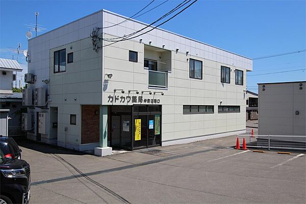 カドカワ薬局（500m）