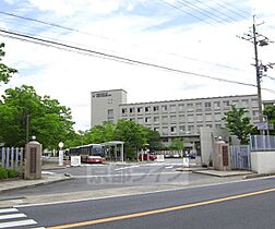 京都府京都市伏見区向島津田町（賃貸一戸建2K・--・37.00㎡） その14