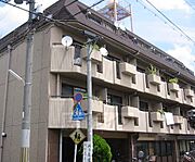 コーポ永和 2階 築40年9ヶ月の賃貸物件