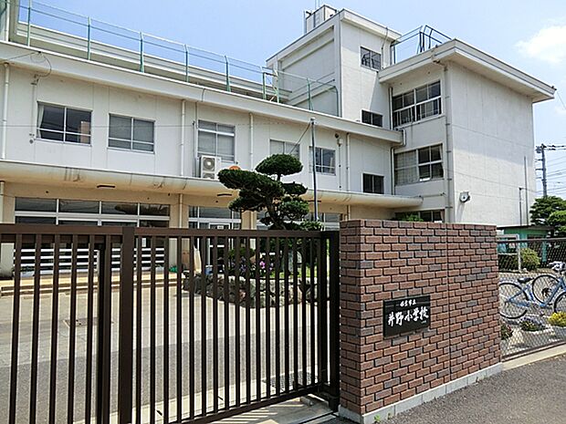井野小学校1112ｍ