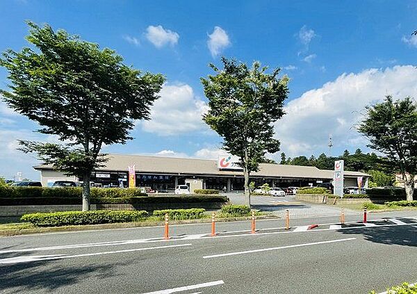 カワチ薬品そめい野店 徒歩16分。 1260m