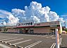 周辺：クスリのアオキ井野店 徒歩10分。 800m