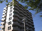 七条駅より徒歩6分 8階 築36年8ヶ月の賃貸物件