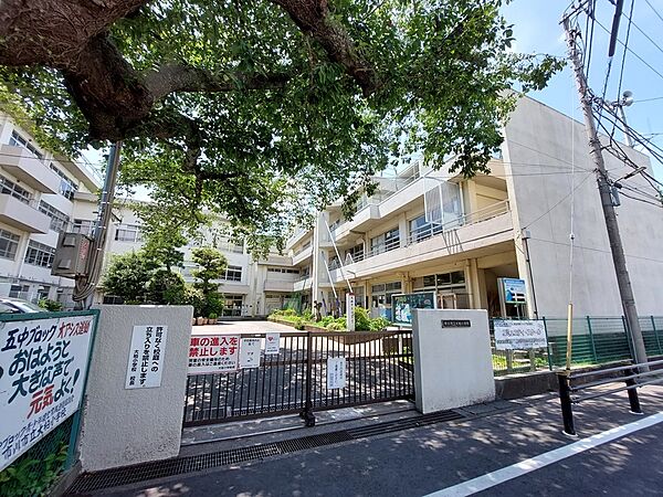 市川市立大柏小学校　約1,300ｍ