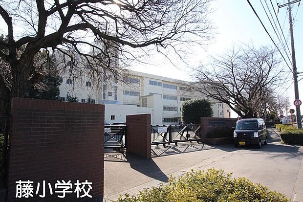 周辺環境:小学校 300m 鶴ヶ島市立藤小学校(徒歩4分につき 毎日の登下校も安心です＾＾)