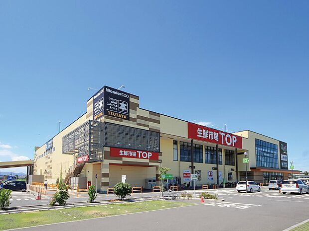 周辺環境:スーパー 800m 生鮮市場TOP川越店(徒歩10分。ホームセンターが近くにあります。ついでにお買い物も可能です。)