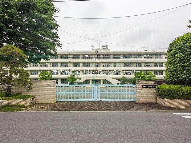 周辺環境:小学校 800m 川越市立川越小学校(徒歩10分。学校教育目標：かしこく・やさしく・たくましく)