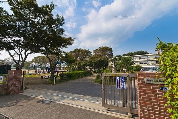 周辺環境:小学校 120m 和光市立第四小学校(徒歩2分。初めての登下校でも安心の徒歩圏内です!)