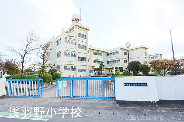 周辺環境:小学校 1000m 坂戸市立浅羽野小学校(徒歩13分 地域の利点を活かし、様々な体験をし勉強以外のことも体験して感じられる学校です)