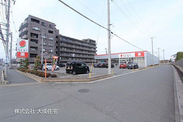 ドラッグストアセキ野火止店 徒歩10分(752.2m)