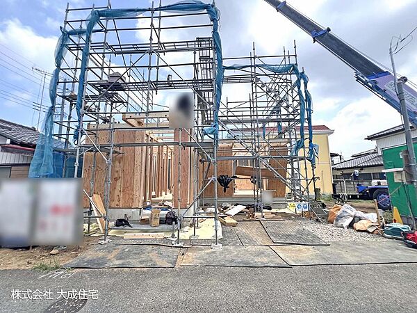 現地写真2026.7.24撮影