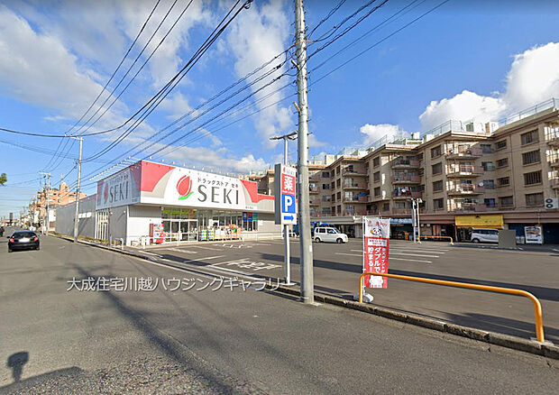 ドラッグストアセキ南大塚店まで1100m 徒歩14分。お薬だけでなく、日用品もお買い求めいただけます。