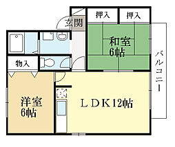 ハイカムール庭井 2階/-