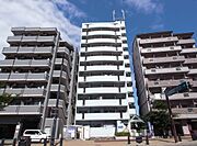 メゾン・ド・エソール 9階 築37年8ヶ月の賃貸物件