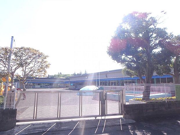 相模ひまわり幼稚園まで約557〜573ｍ