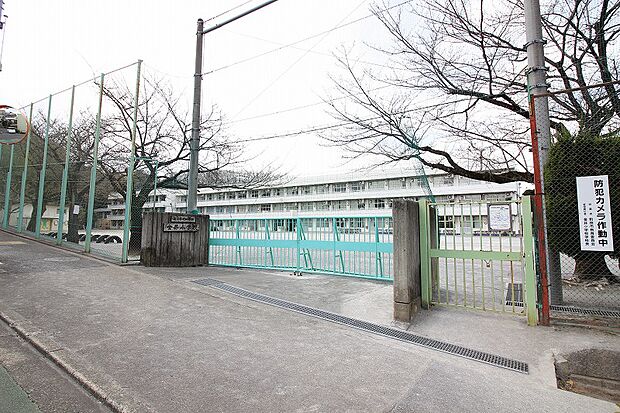 金井小学校まで約1639m