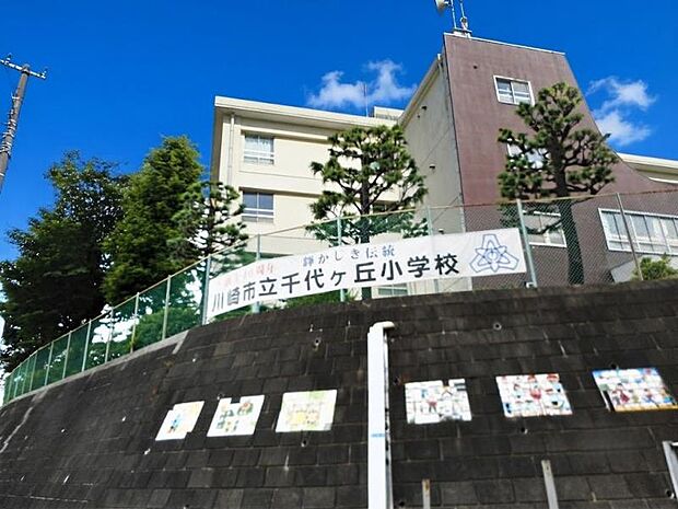 川崎市立千代ケ丘小学校まで約391～444ｍ