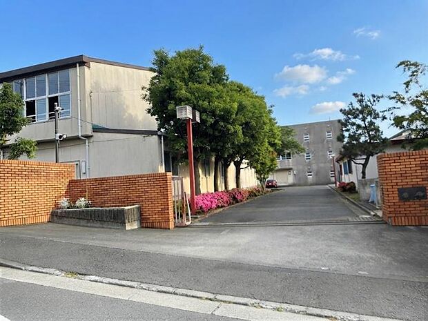 川崎市立金程中学校まで約954~1007m