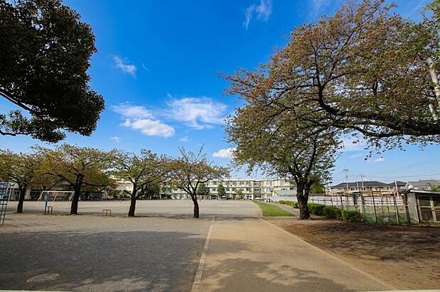 町田市立町田第六小学校まで約187m~239m