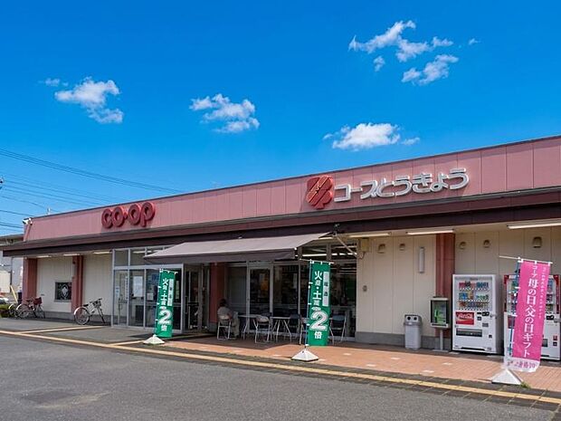 コープときわ店まで約312
