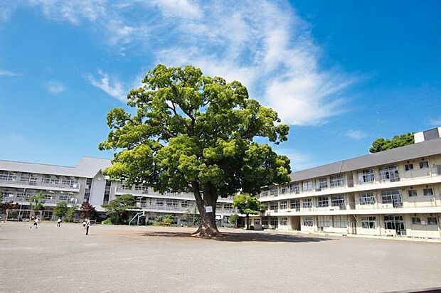 相模原市立新磯小学校まで約1187m