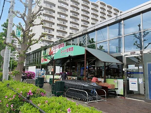 スーパー生鮮館TAIGA座間店まで約456ｍ