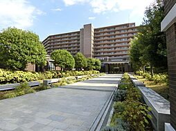 ユニヴェルシオール学園の丘