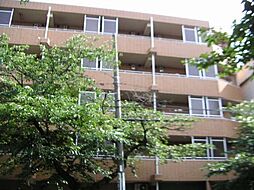 西武新宿線 沼袋駅 徒歩9分の賃貸マンション