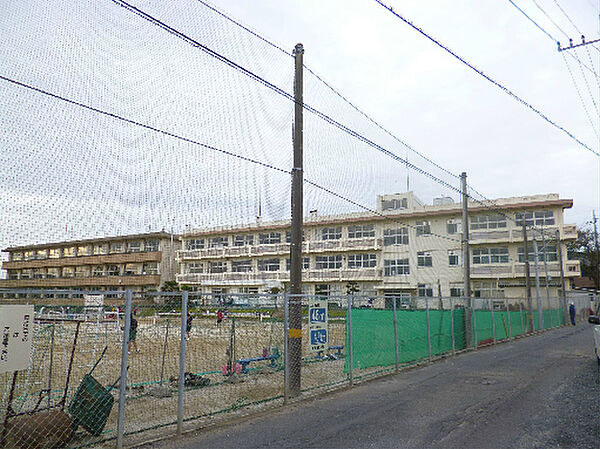 画像18:日立市立坂本中学校（553m）