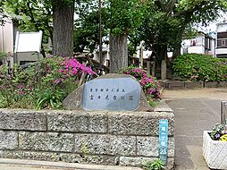 周辺施設の画像