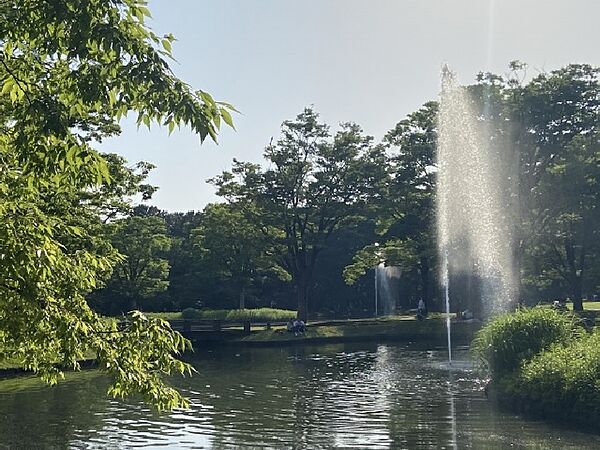 都心にありながら広大な緑地を有し、都会のオアシスとして東京都民の憩いの場となっています。