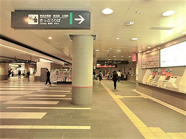 ◇家と同じくらい周辺環境は大切なもの。図面だけでは分からない現地の雰囲気もご確認くださいませ。