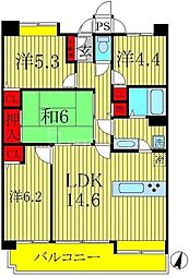 コスモ柏セランス 8階4LDKの間取り