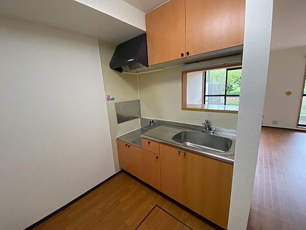 detached 東京都東大和市上北台3丁目375-2

地図を見る