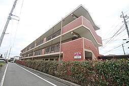 アラ・ブレーヴェ