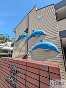 カリフォルニアドリーム 2階 築34年7ヶ月の賃貸物件