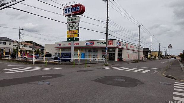 セイムス 東金田間店 徒歩9分。 710m