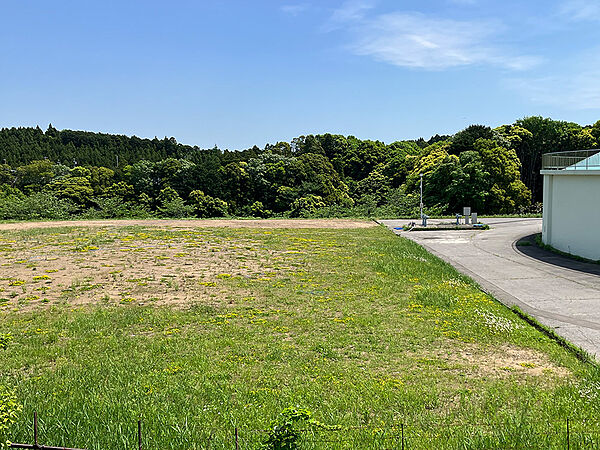 東側の庭からの風景