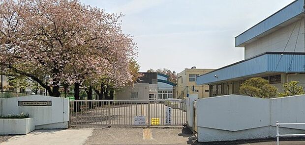 町田市立木曽境川小学校（490m）