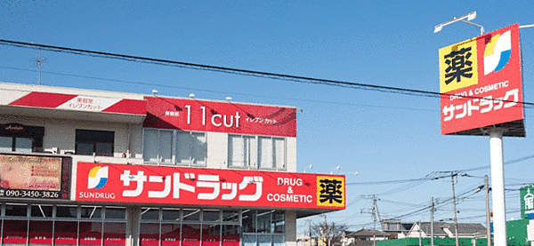 サンドラック城山店（800m）