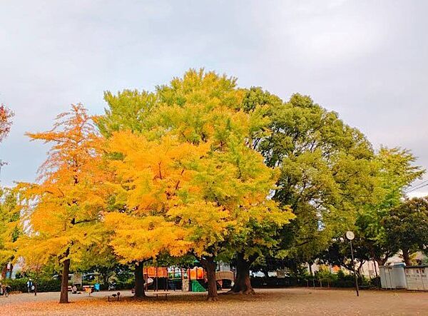 山見公園（220m）