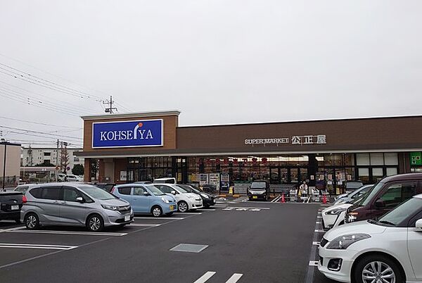 公正屋 下九沢店（1000m）