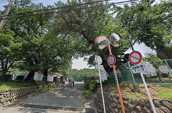周辺を拡大表示