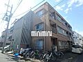 東武伊勢崎線 五反野駅 徒歩13分の賃貸マンション