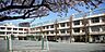 周辺：世田谷区立経堂小学校（149m）