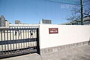 明倫小学校 781m